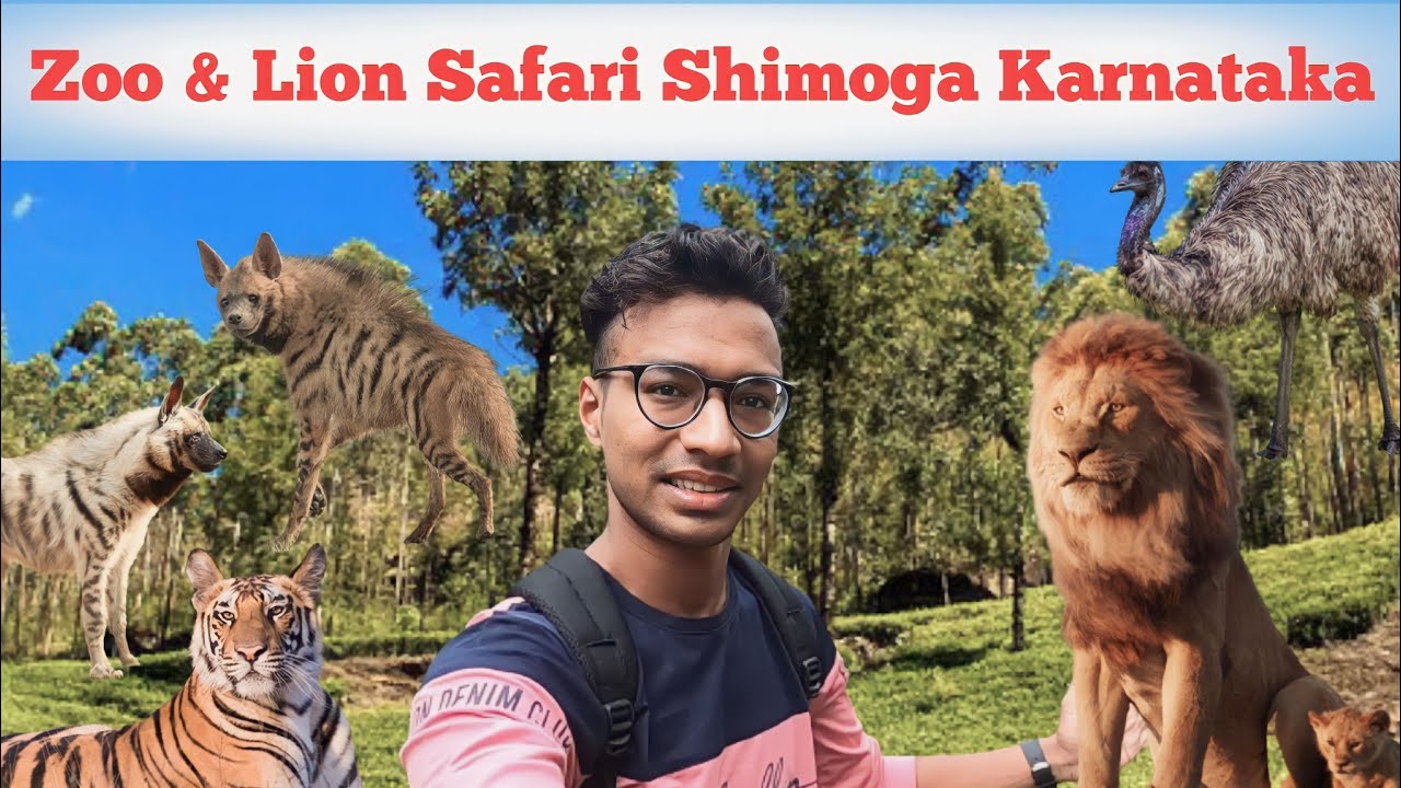 Zoo & Lion Safari Shimoga Karnataka, Shimoga Zoo & Safari