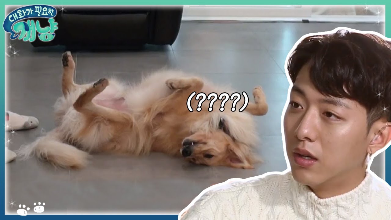 구질구질하게 집착하는 이정신에 고장난 반려견 | #대화가필요한개냥 EP14 #09