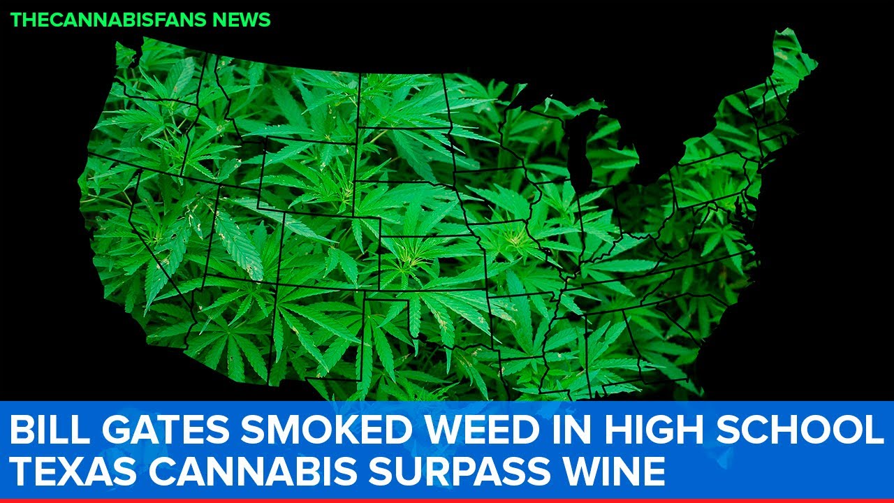 Bill Gates smoked weed in high school. Texas cannabis surpass wine. 58% of cultivators feel ‘bad’