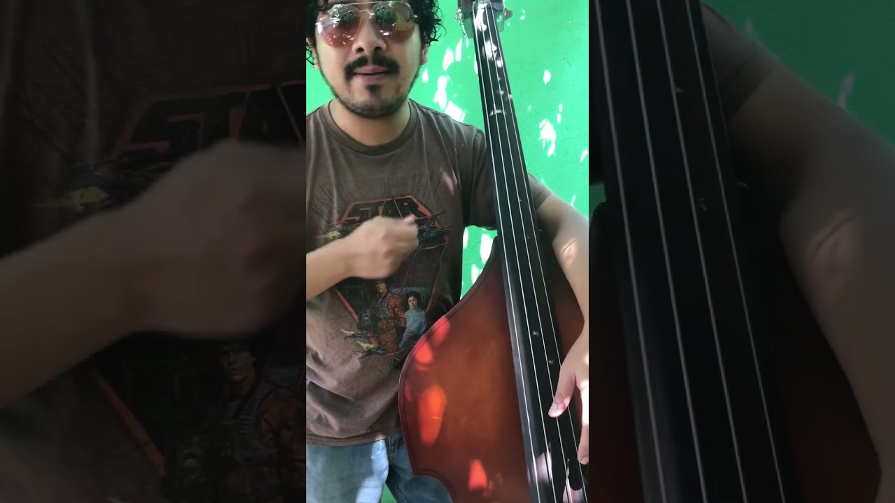 como tocar Funk en el contrabajo #contrabajo #bajista #m&uacute;sicajazz