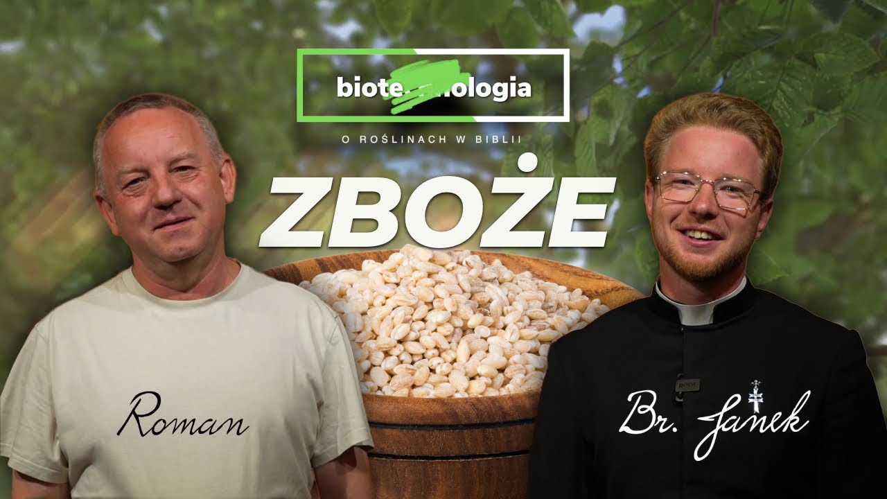 [2/12] Zboże - 𝗯𝗶𝗼𝘁𝗲chn𝗼𝗹𝗼𝗴𝗶𝗮 - o roślinach w Biblii 🌱