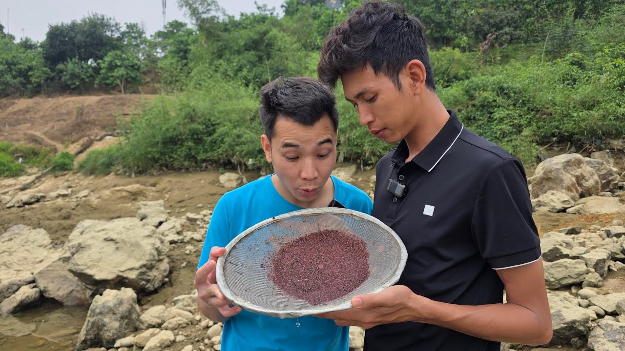 Đào Cát Đỏ Thiên Nhiên Ở Dòng Sông Chảy Cùng Với Lưu Hậu - Giải Mã Giấc Mơ Và May Mắn Bất Ngờ