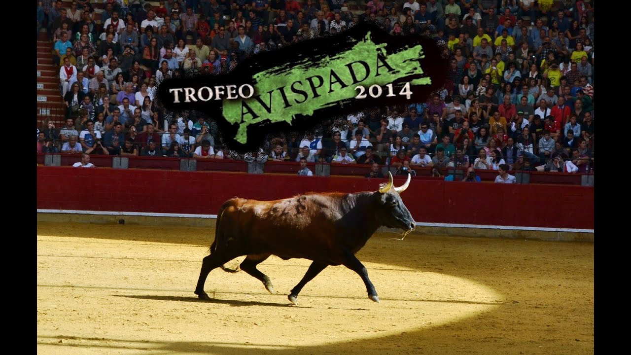 ⭕️🤘🏻 TROFEO AVISPADA - MEJOR VACA 2014