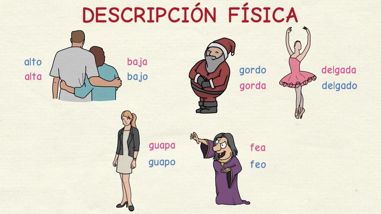 Aprender español: Vocabulario descripción física (nivel básico)