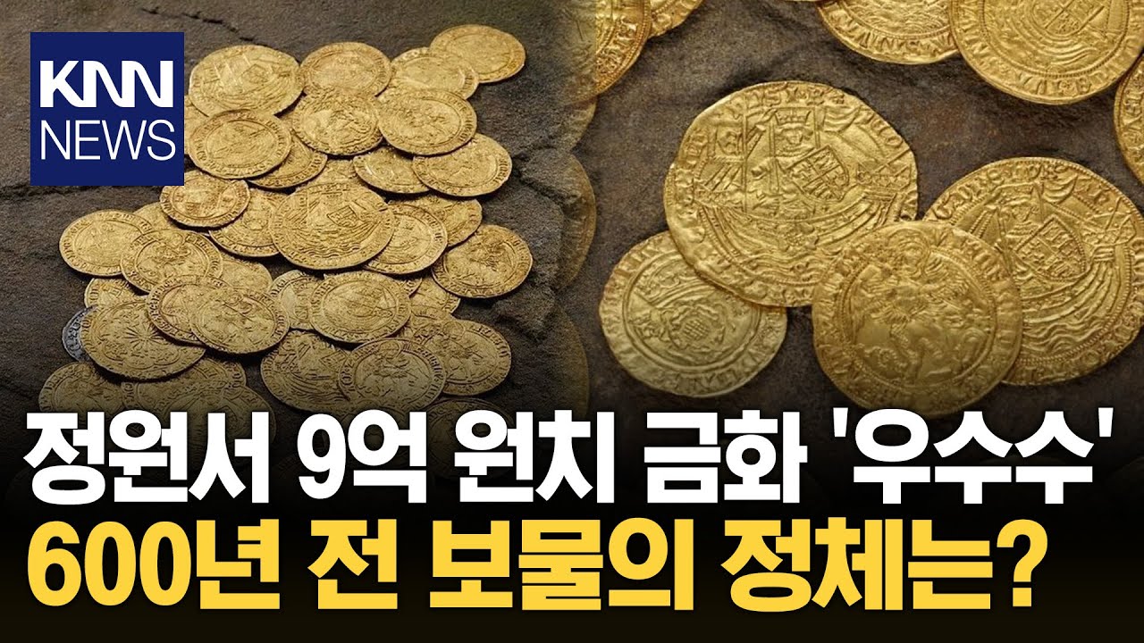 집 정원서 발견된 600년 된 금화 경매서 9억 원에 팔려 '횡재' / KNN