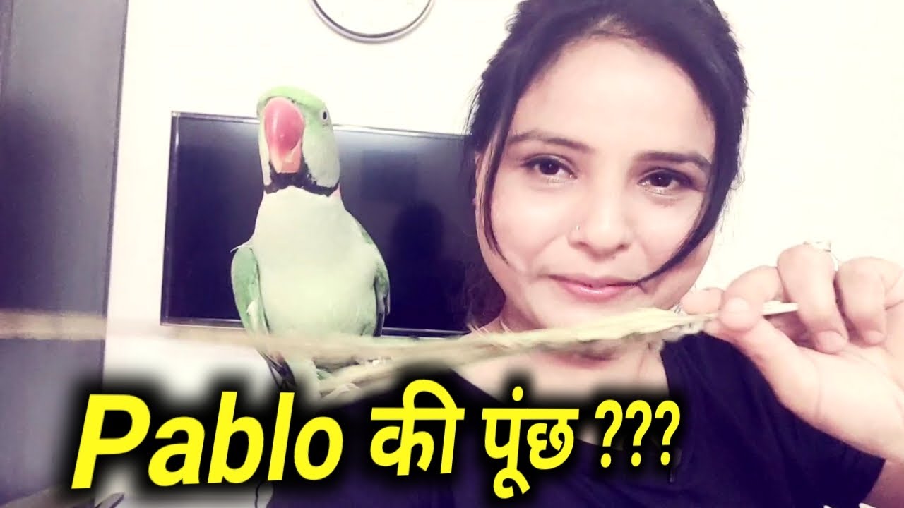 Pablo ki long Tail kaha gayi...???