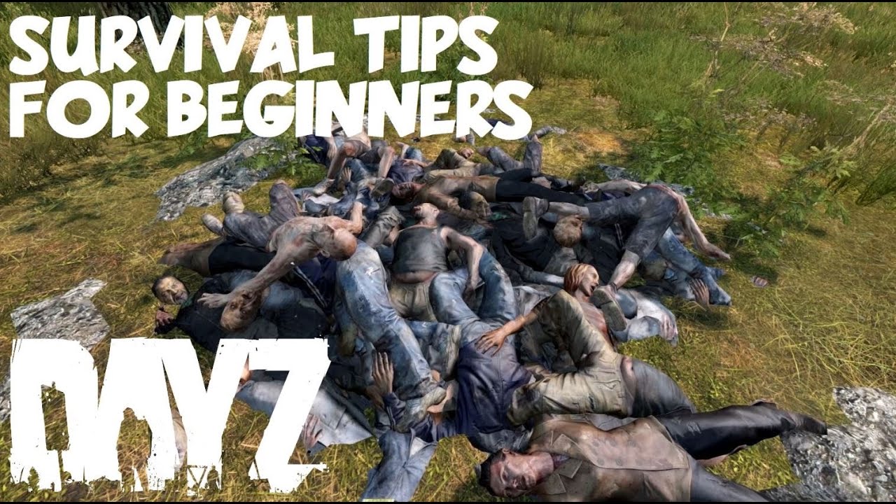 DayZ - Survival Tips for BEGINNERS (PC/XBOX/PS4)