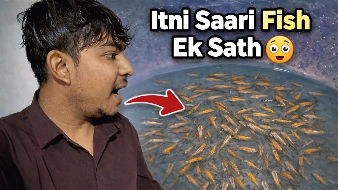 Itni Saari Fish Ek Sath! 😲 | Home #vlog 