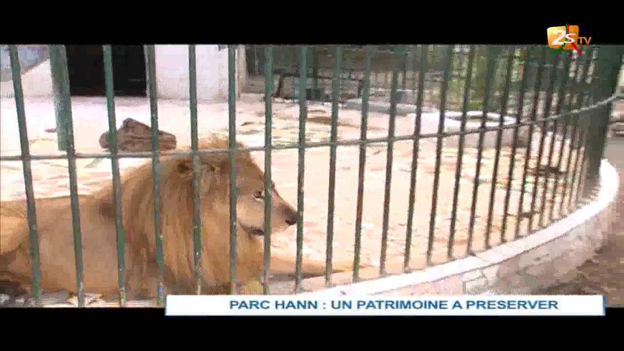 PARC HANN : UN PATRIMOINE À PRÉSERVER