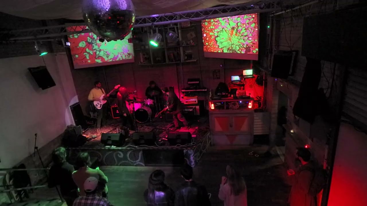 Adults at The Night Owl