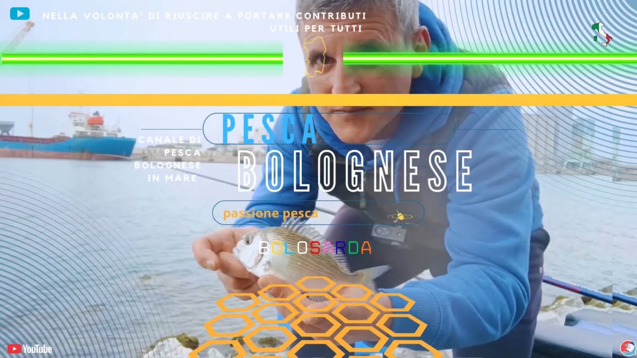 Pesca Bolognese Bigattino in Porto. Tempi Duri. #fishing #fish #pesca #pescare #suonodelmare 