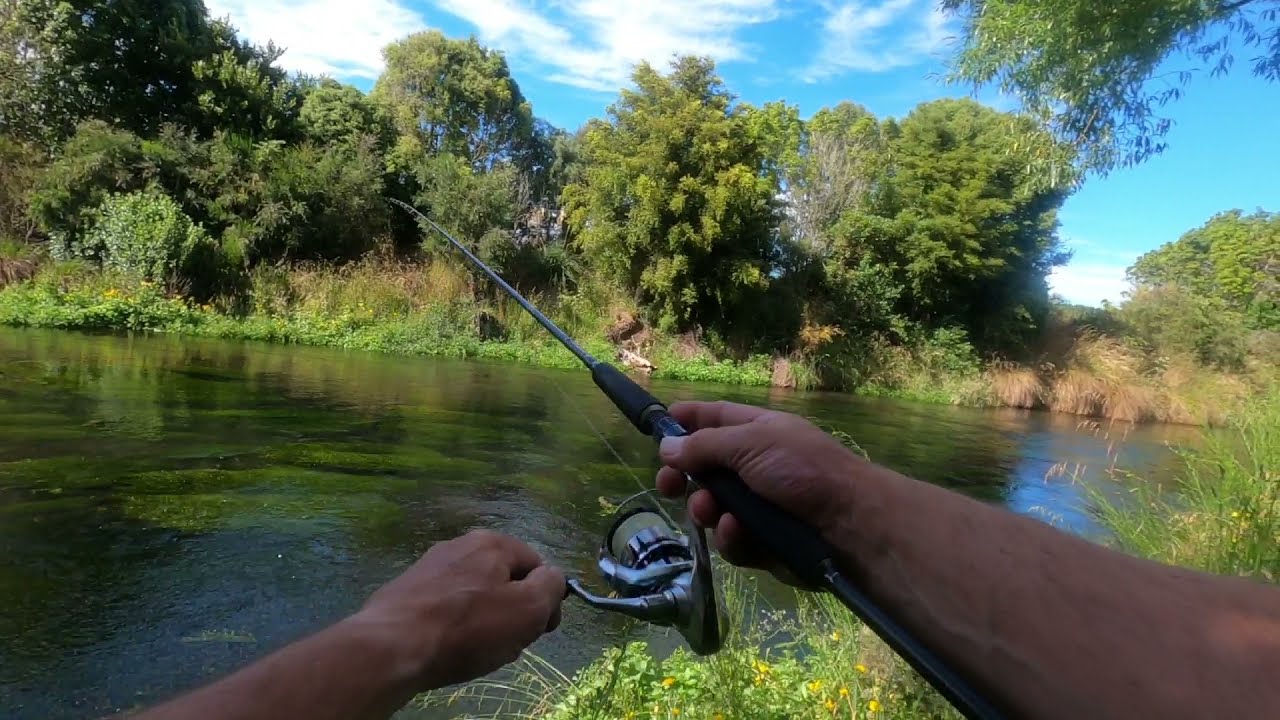 FISHING for Brown Trout - This one Smashes my Softbait!!