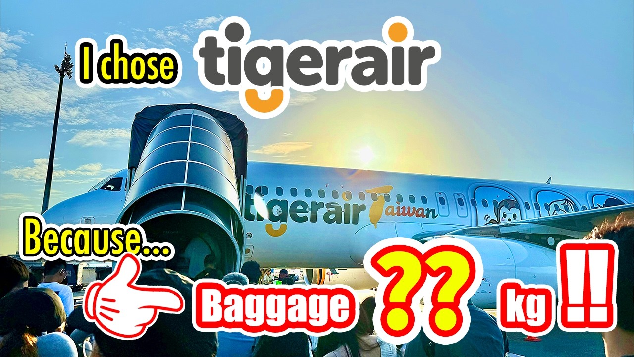 Путешествуете между Японией и Тайванем? Tigerair может стать лучшим выбором 🇯🇵🇹🇼