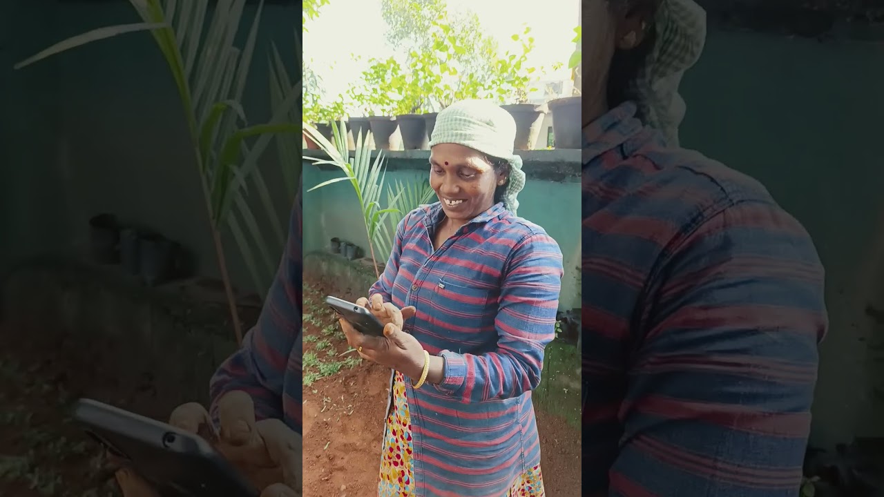 pearl grass planting പേൾ ഗ്രാസ് ഇങ്ങനെ ആണ് നടുന്നത്.