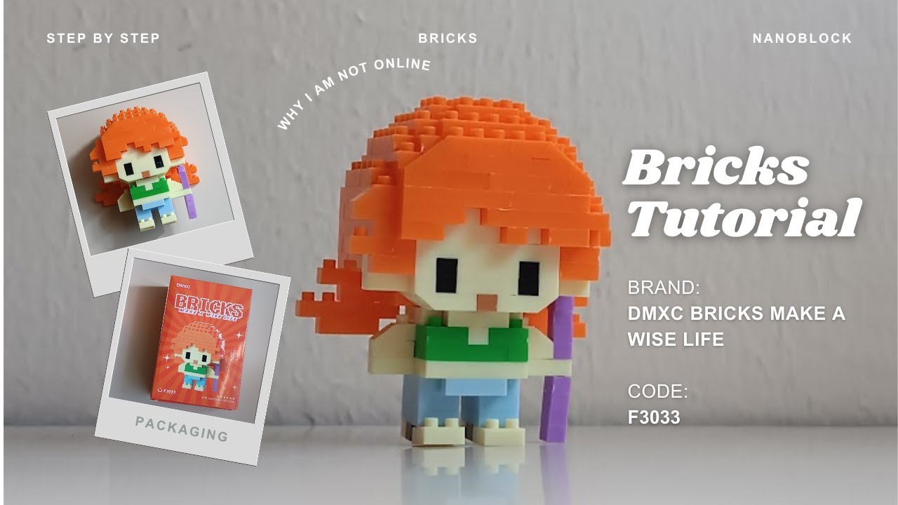 How to Build Nami One Piece Building Blocks | DMXC Bricks Make a Wise Life F3033 (187 Pieces)