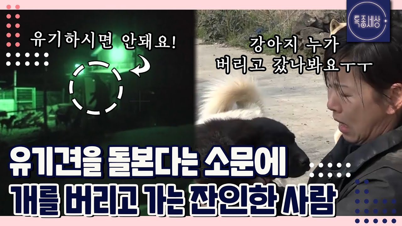 [FULL영상] 산속에서 여러 마리 개들과 사는 여자의 정체는?