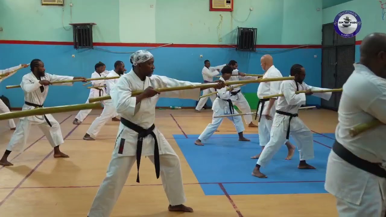 Okinawan Kobudo in Motion | Course Highlights with Bamgboye Sensei