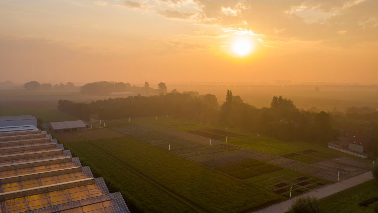 Rijk Zwaan in One Day