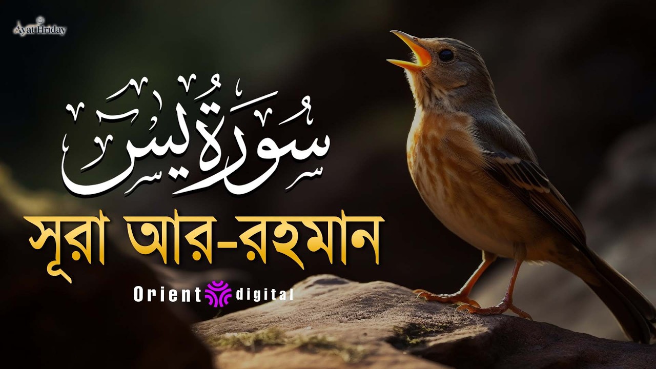 অন্তর শীতল করা সূরা ইয়াসিন এর তিলাওয়াত (سورة يس) | Surah Yasin Recited by Mostafa El Lahony