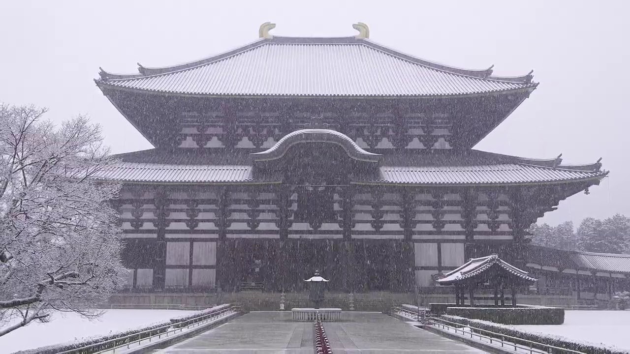 映像作家：保山耕一、指揮：佐渡裕、ベートーヴェン交響曲第九番第三楽章、東大寺、春日大社