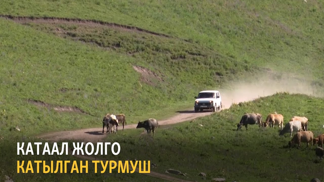 Катаал жолго катылган турмуш