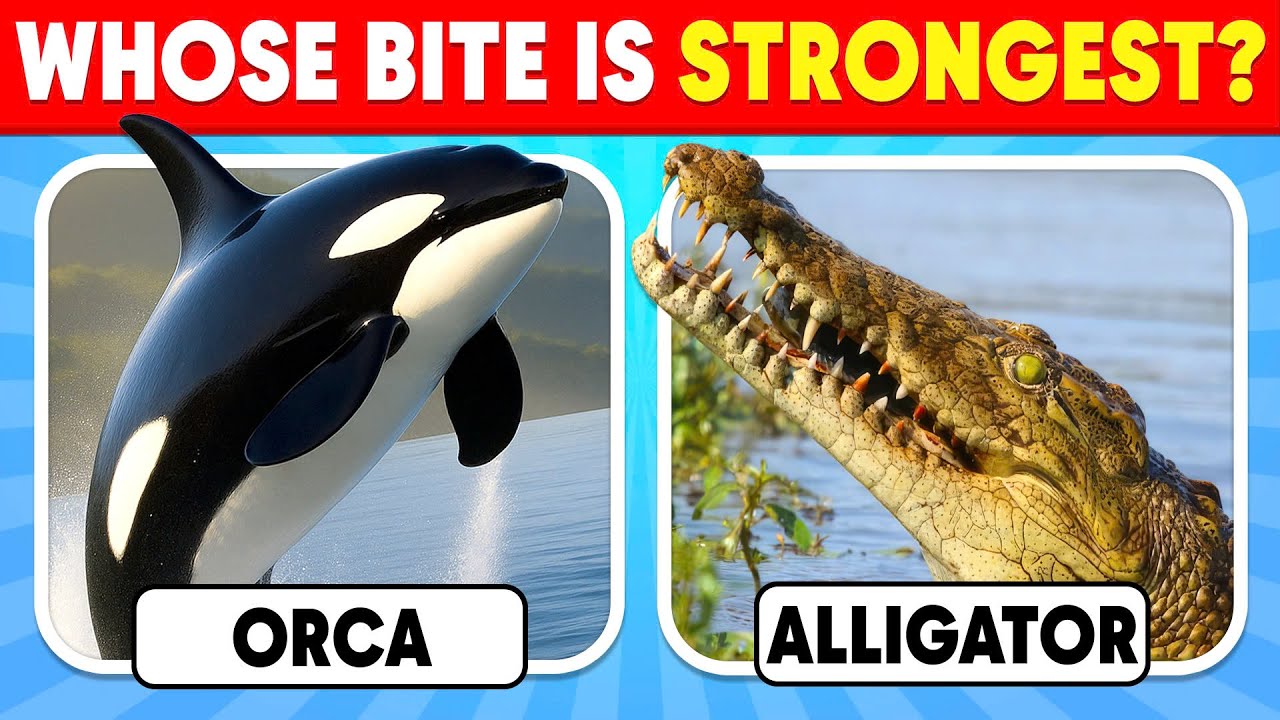 How Good Is Your Knowledge of ANIMALS? 🦁🦅✅ 60 Animals Knowledge Trivia Quiz | Nemo Quiz