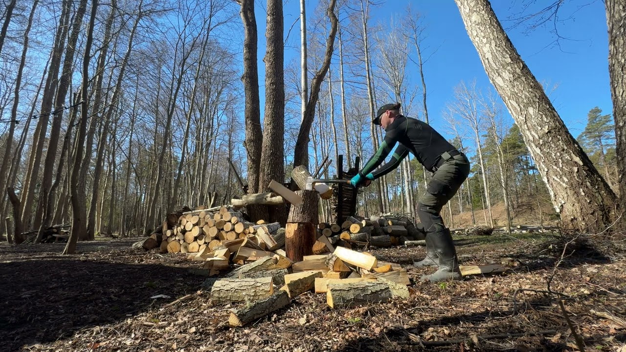 Sun is shining! Splitting wood with an axe! musculus fortior fit