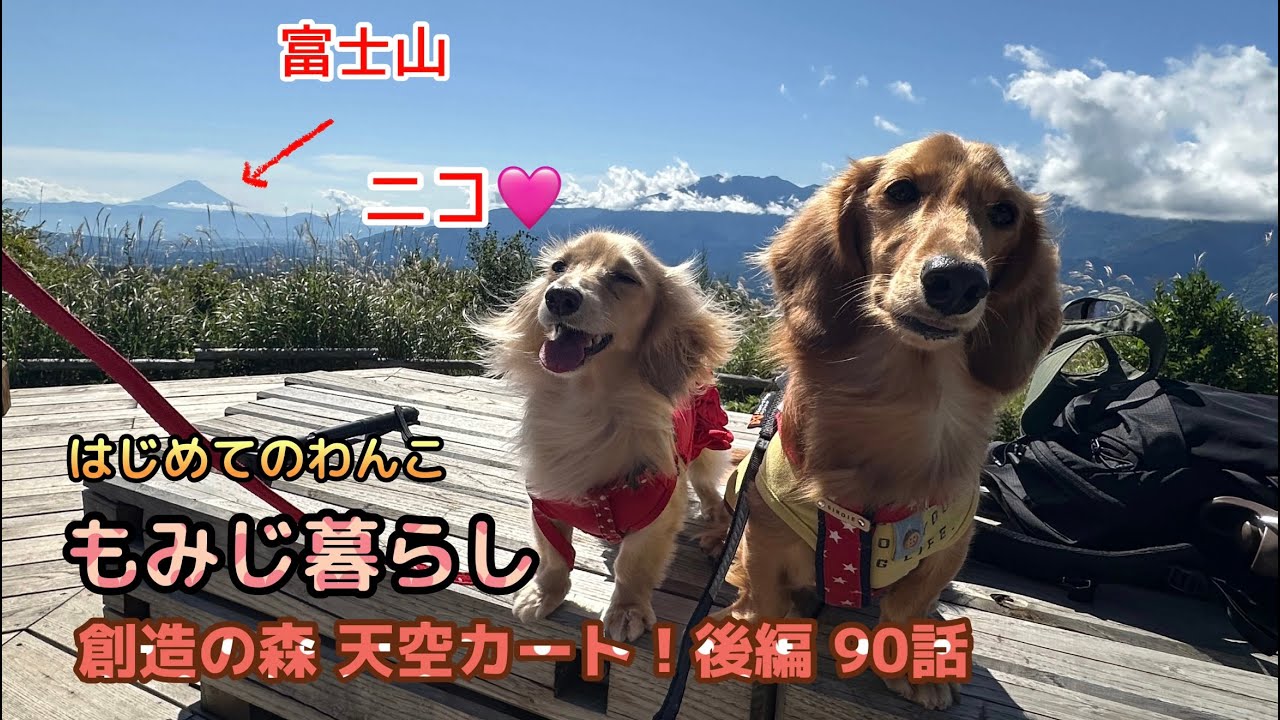 はじめてのわんこ、もみじと暮らし　創造の森 天空カート！後編 90話