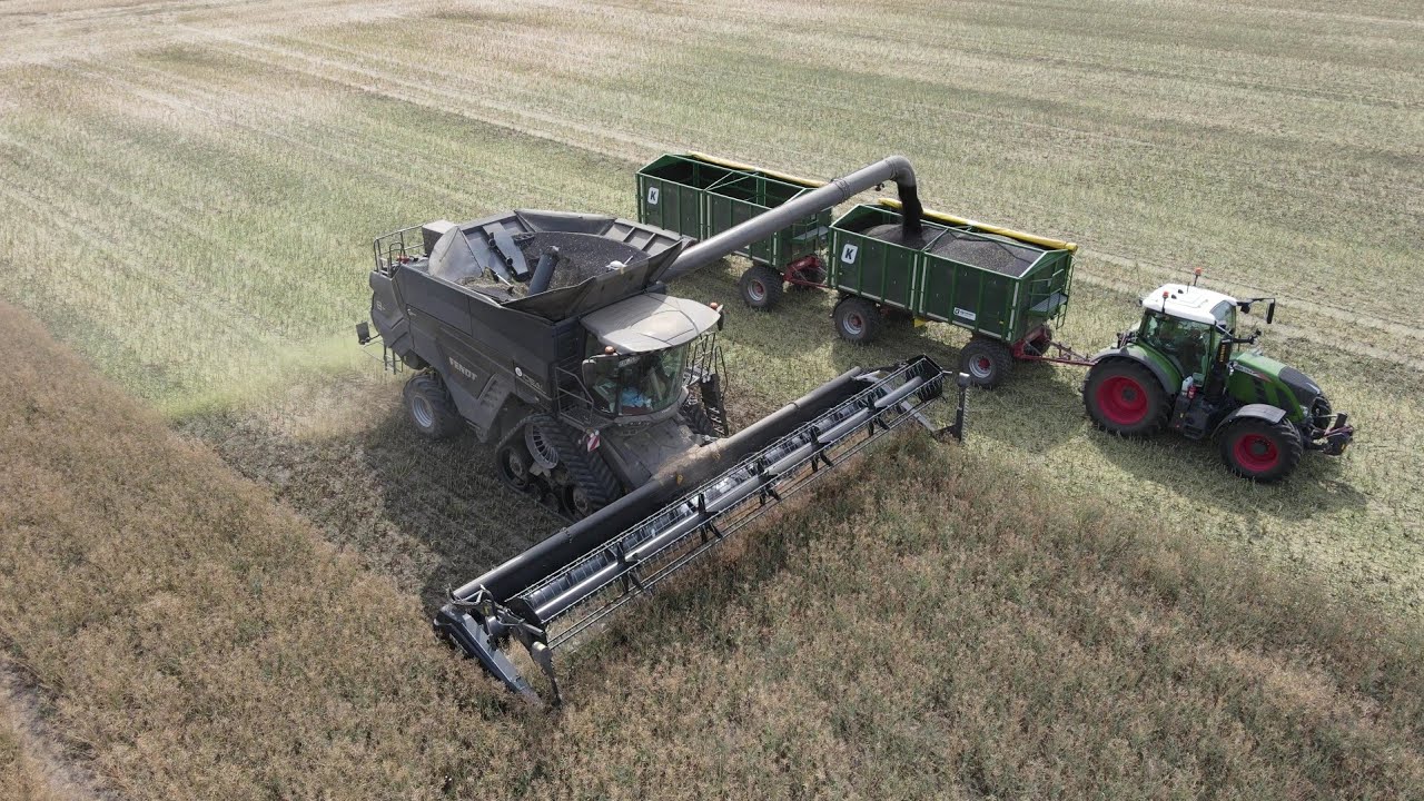 FENDT IDEAL 8T bei der Rapsernte 2022 / FENDT 724 als Abfahrer / 4K