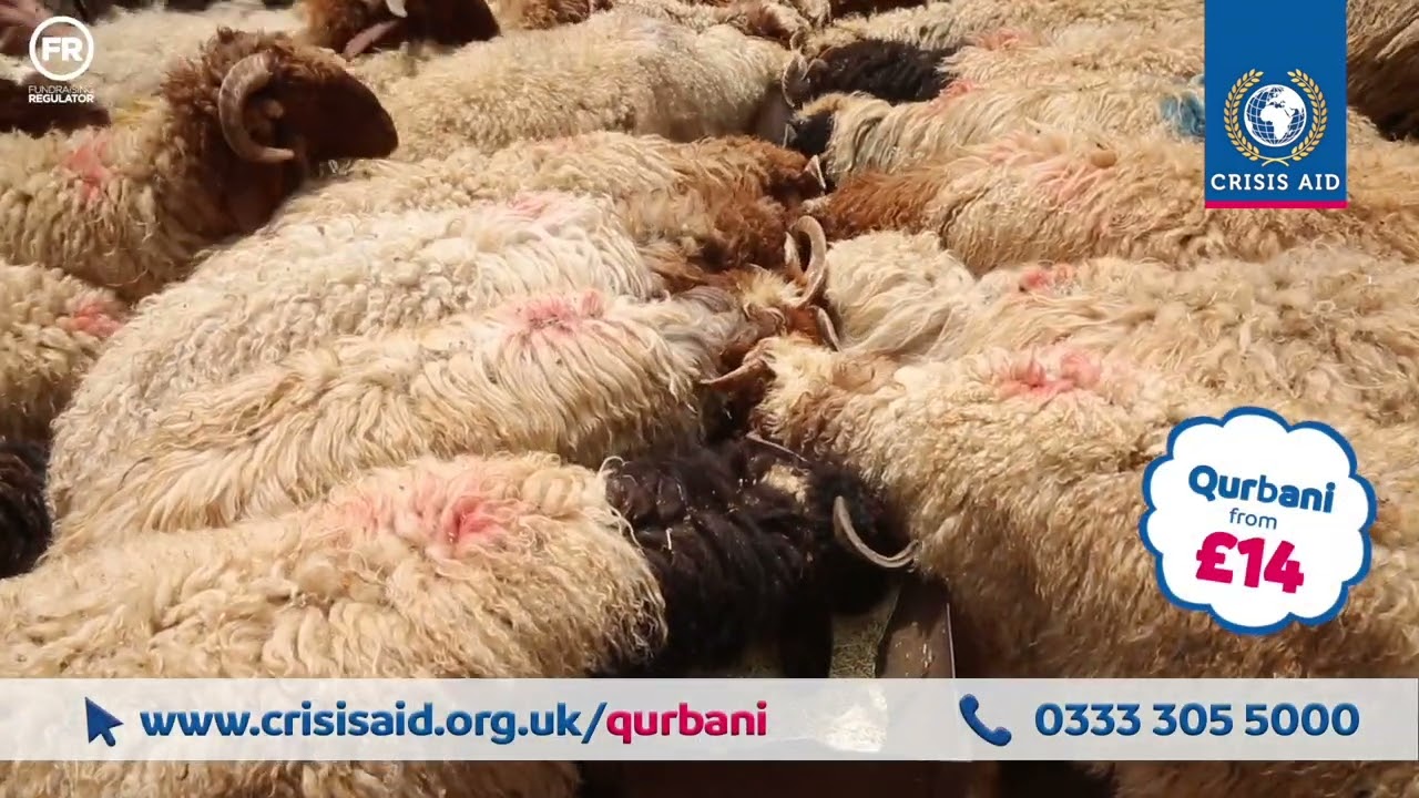 Crisis Aid Qurbani Appeal 2023 | Donate at www.crisisaid.org.uk/qurbani/