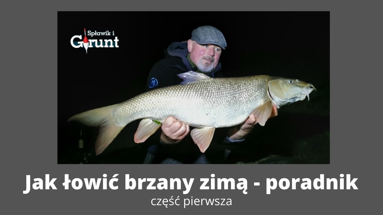 Jak łowić brzany zimą - poradnik, część pierwsza