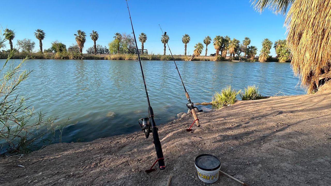 Sunbeam Lake Fishing 🎣.