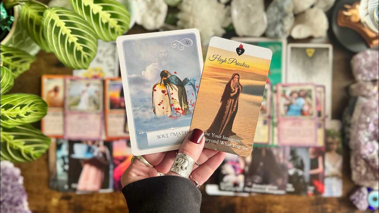 Trust your intuition when it comes to this SOUL CONNECTION! ☯️☯️☯️Timeless LOVE Reading☯️☯️☯️