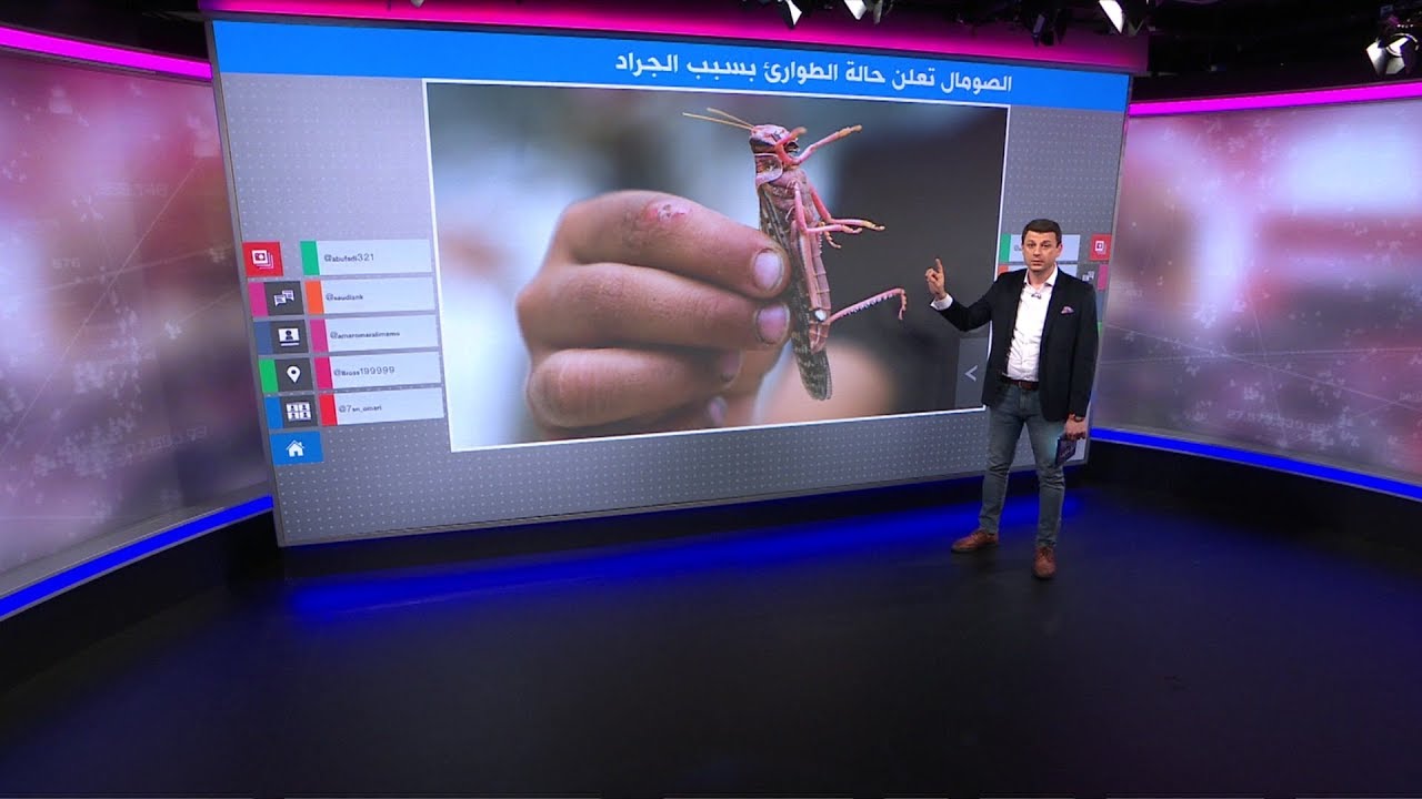 أسراب الجراد تضرب الصومال ودول شرق أفريقيا