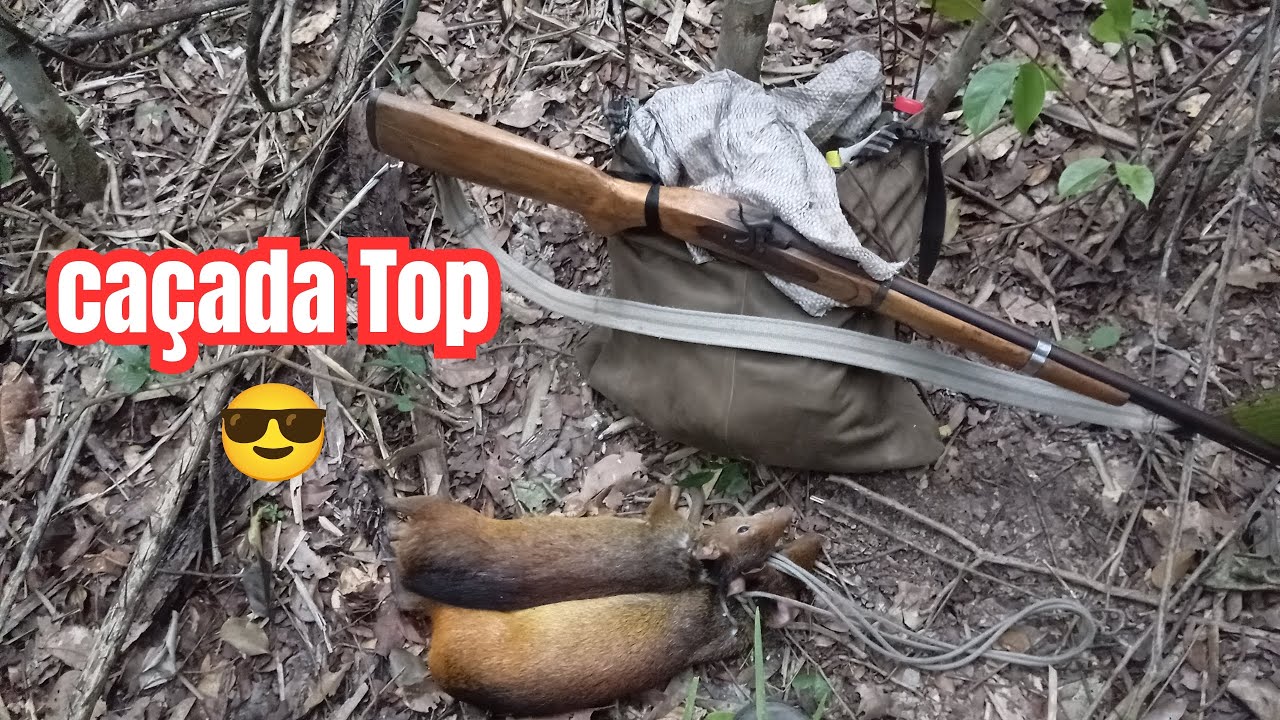 Caçada de cutia deu Top 😎 Ceva de milho 🌽