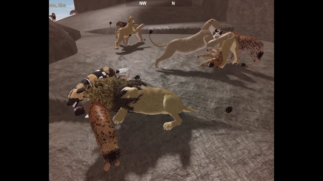 Testing A: Lions VS Hyenas (ROBLOX)