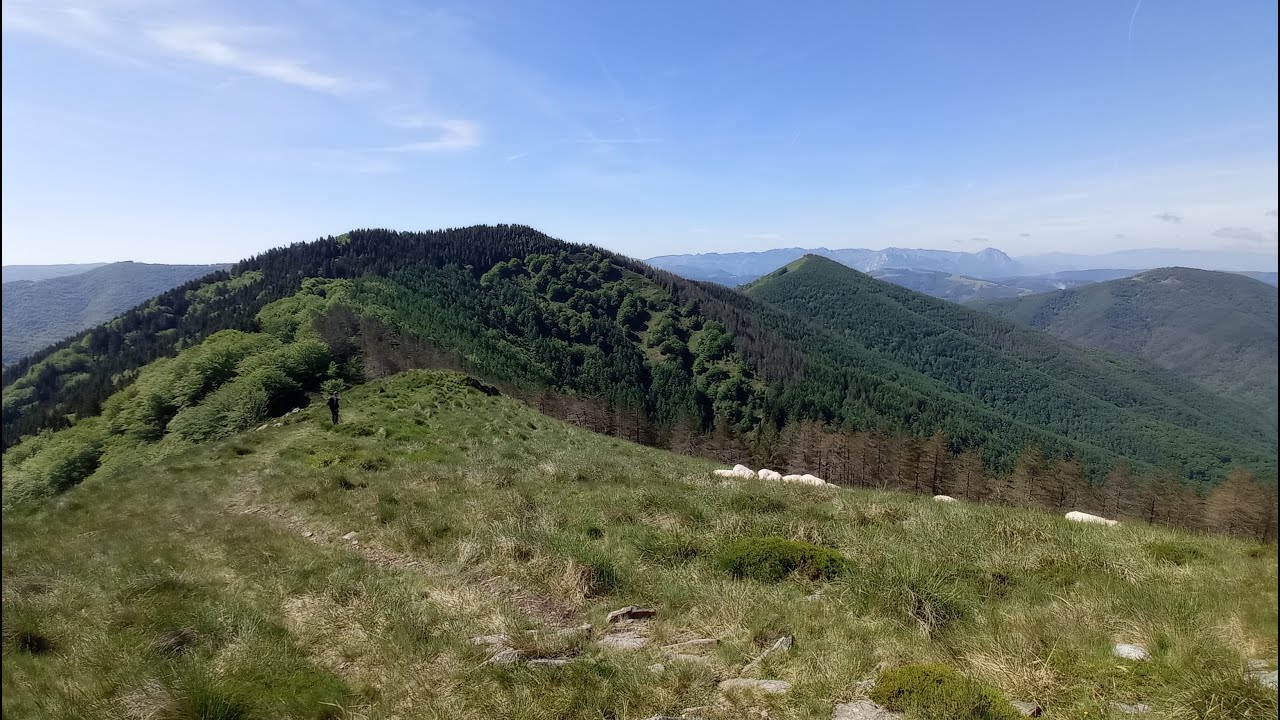Mandoegi.  Urepel 2025 4k