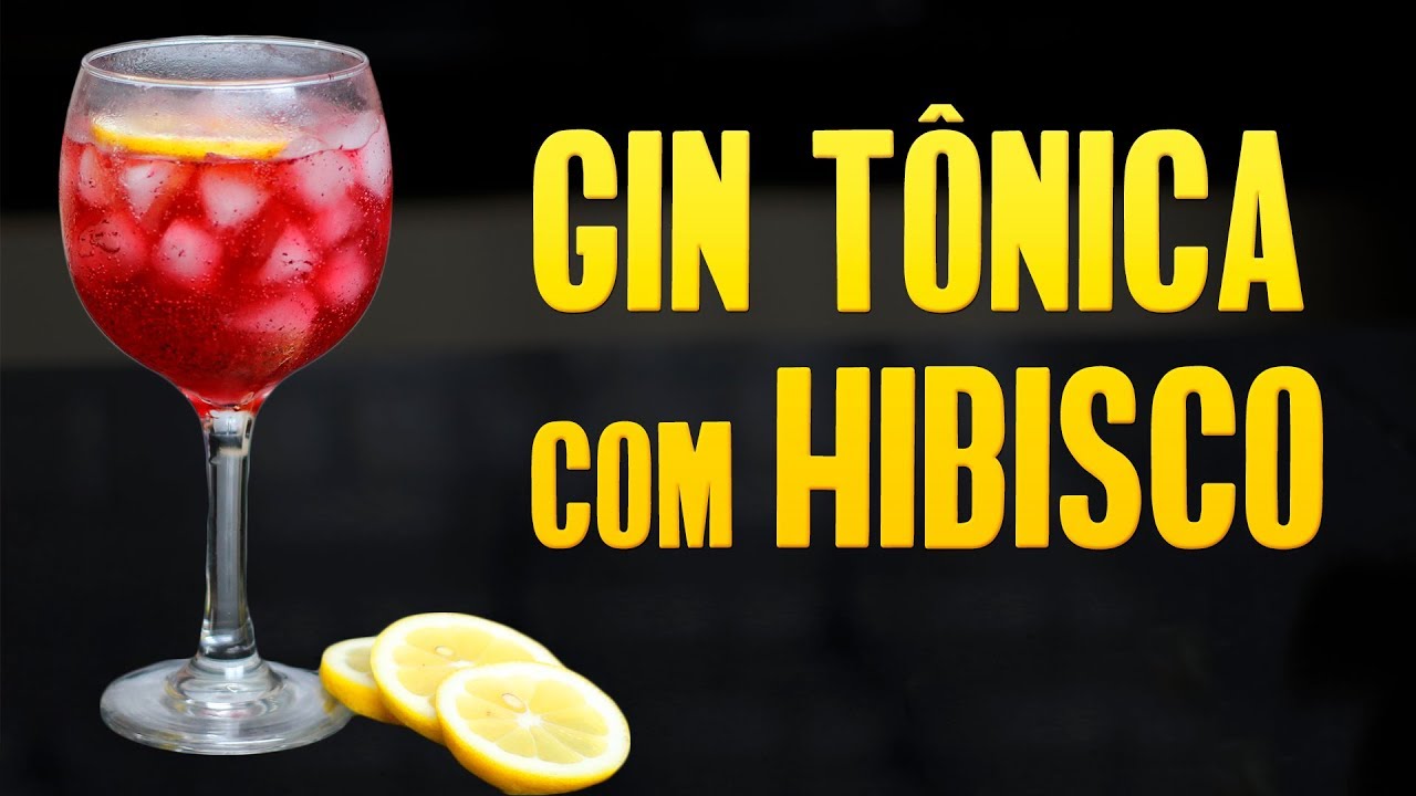 Gin Tônica com Hibisco - OS MELHORES GIN TÔNICA DO MUNDO