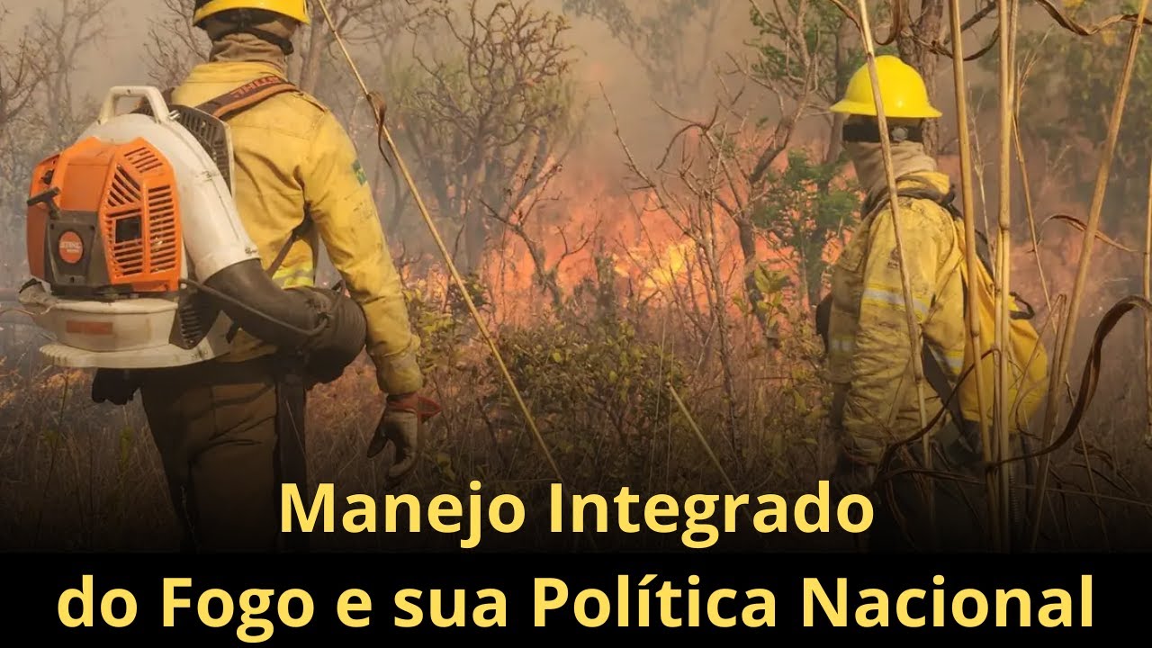 Manejo Integrado do Fogo