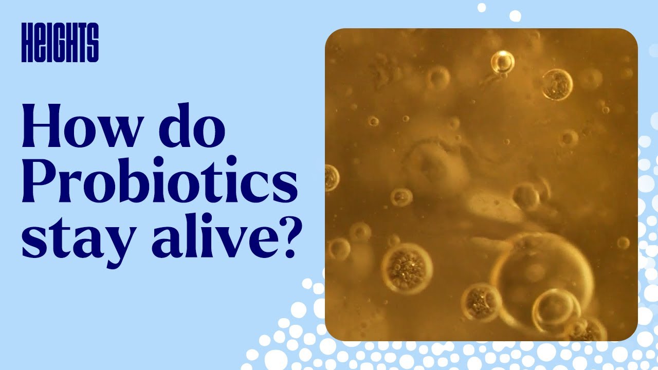 How Do Probiotics Survive in Capsules? The Science Explained