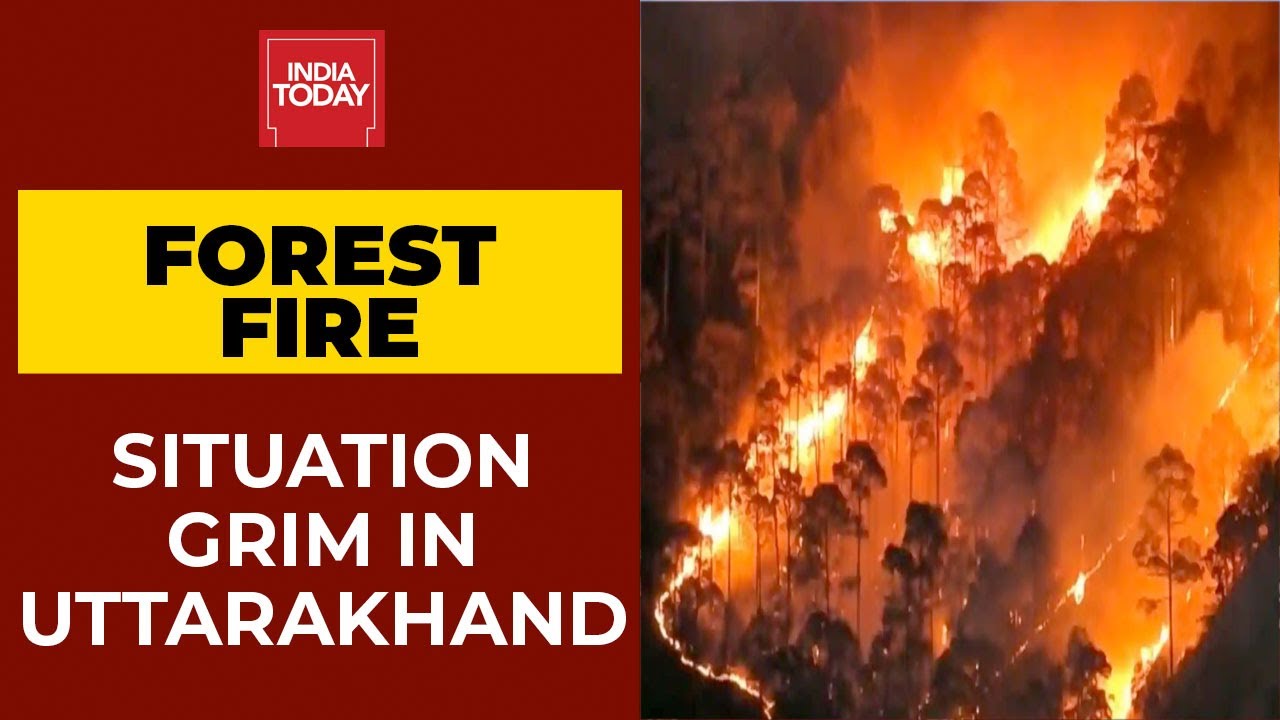 Uttarakhand Forest Blaze: Situation Grim As Forest Officials Continue To Douse Fire | Ground Report