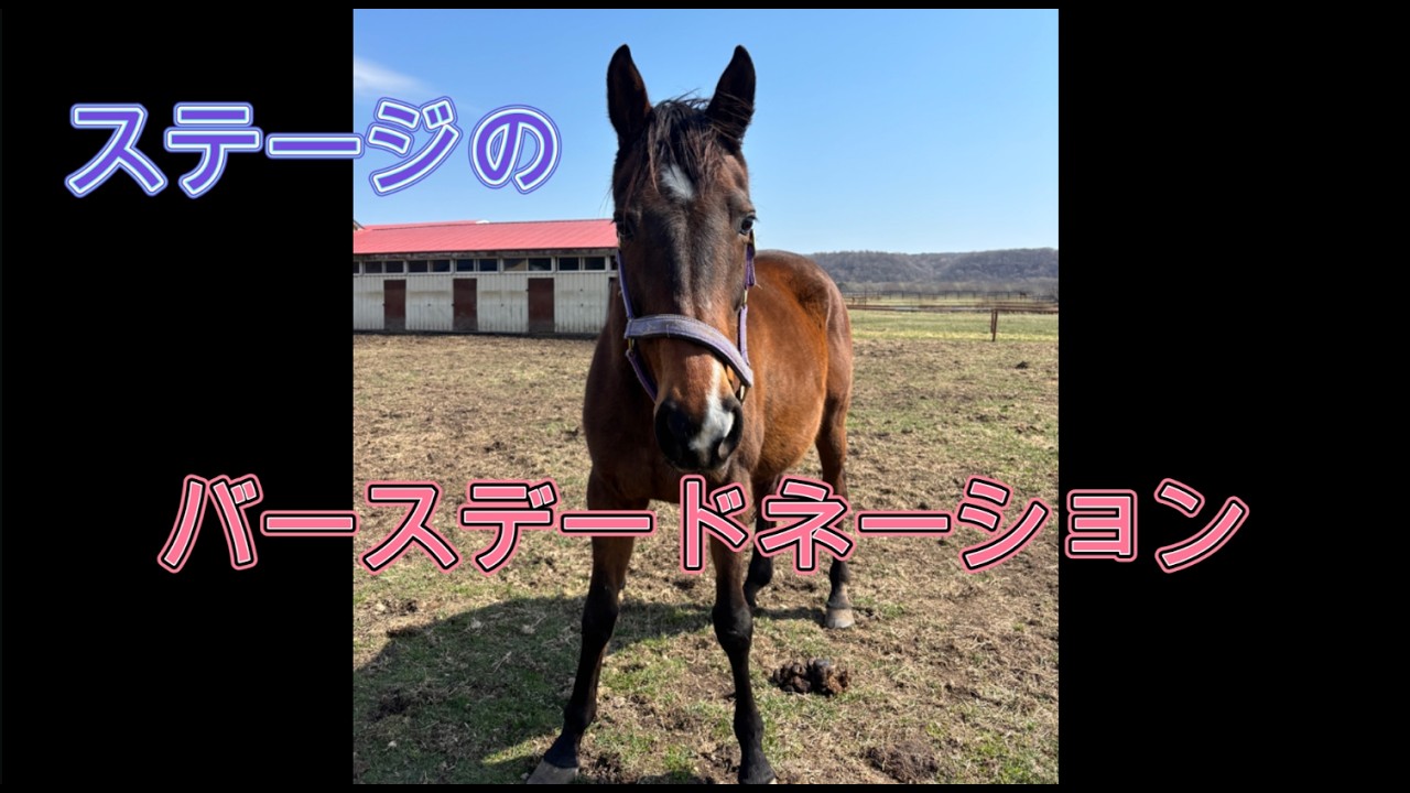 ステージのバースデイドネーション ：開催期間　2026年2月17日(火)～3月1日（日）