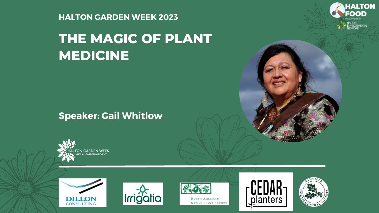 The Magic of Plant Medicine with Gail Whitlow