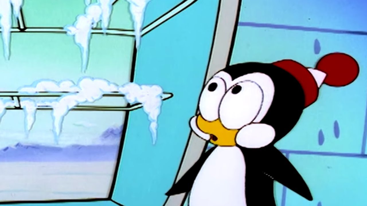 Picolino em Português 🐧Cachorro Frio 🐧Episódios completos | Desenhos Animados