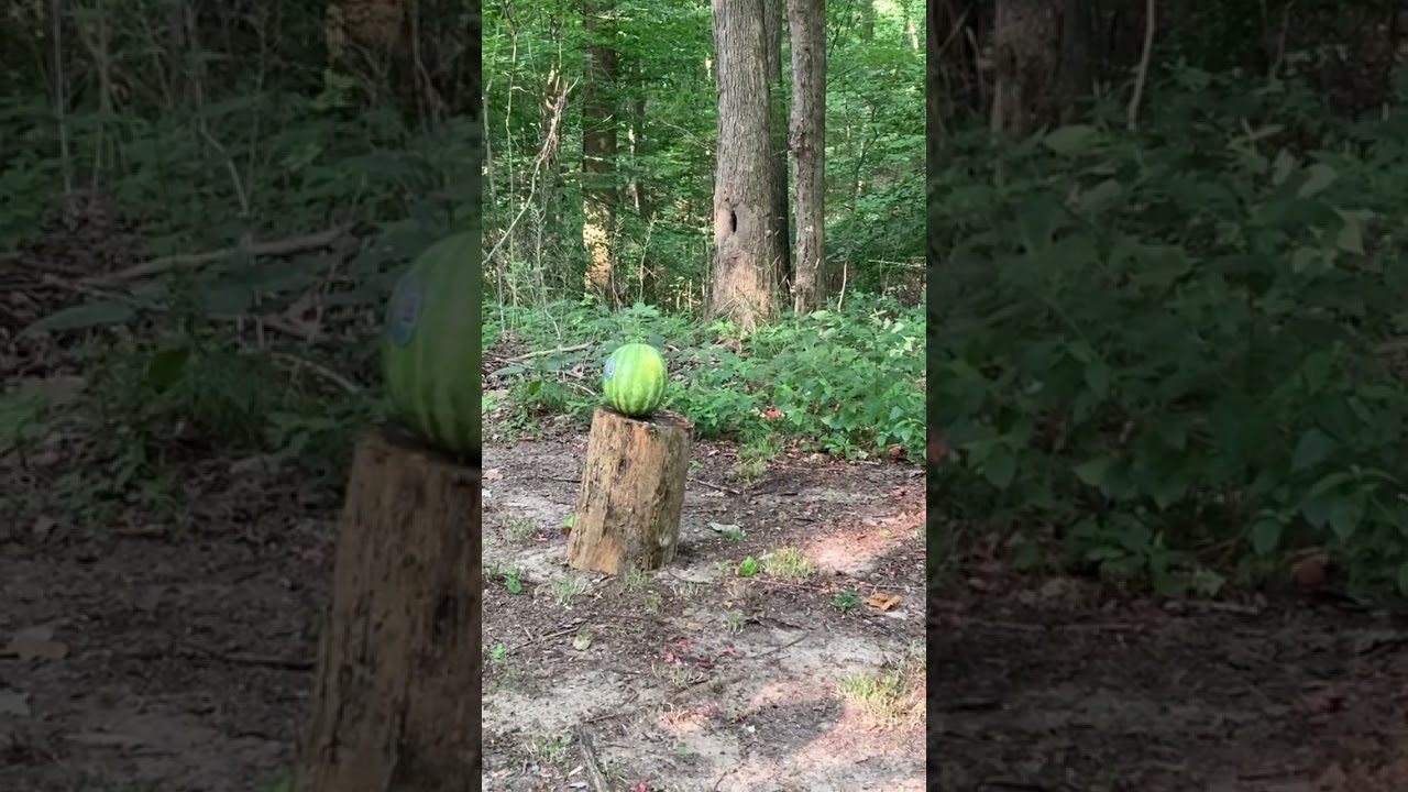 Deer slug Vs watermelon #watermelon #shotgun #firearms #remington870