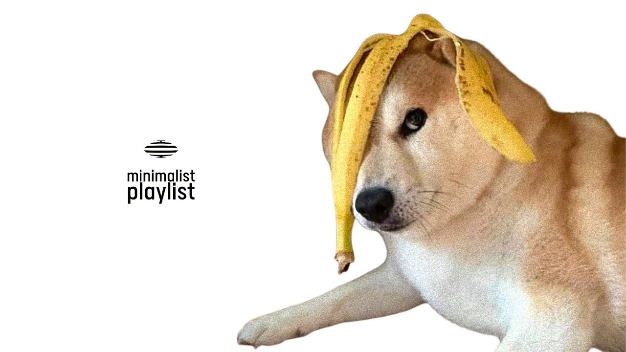 실수는 실수지 실패가 아닙니다 | playlist