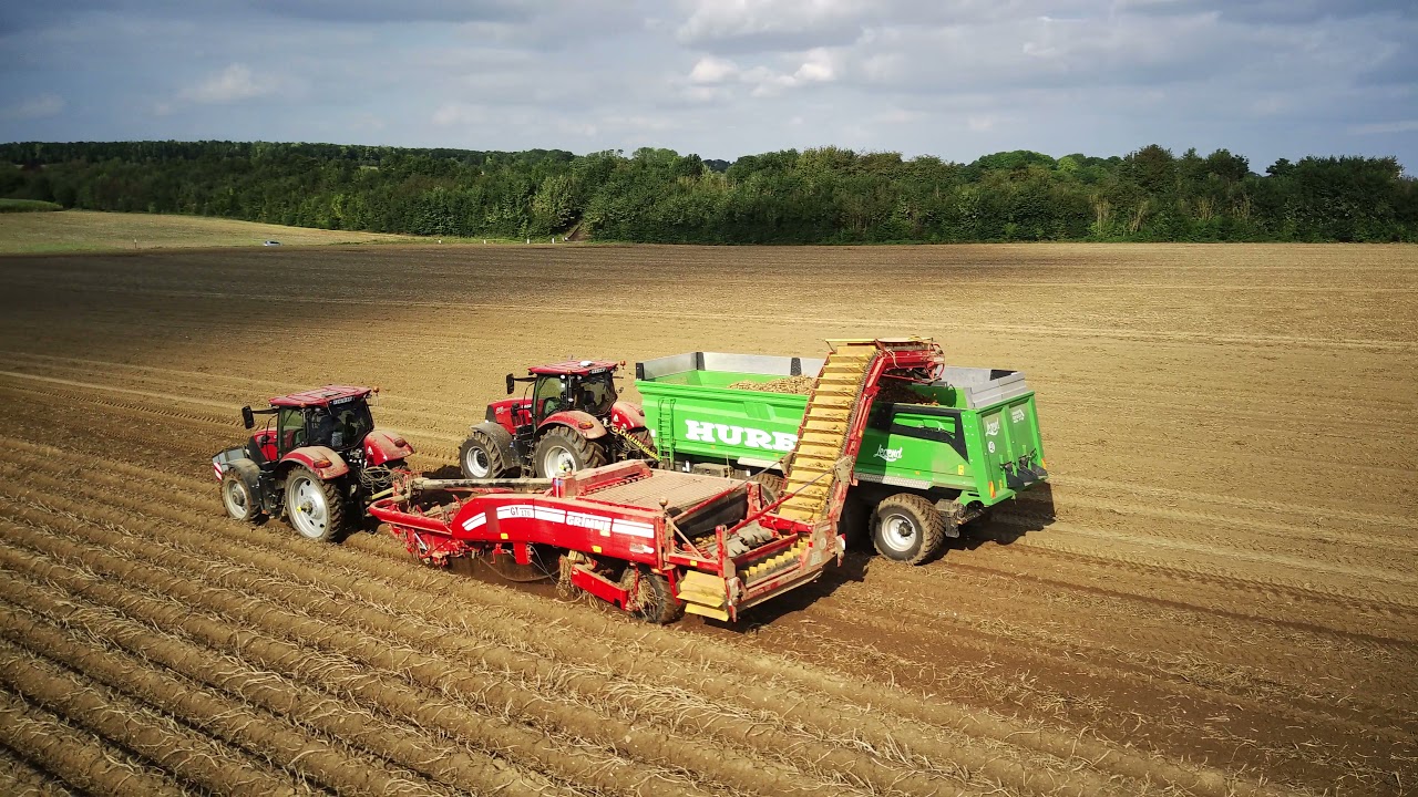 Arrachage Pommes de Terre 2021 / Grimme GT170 / Case CVX 240 / Case CVX 165