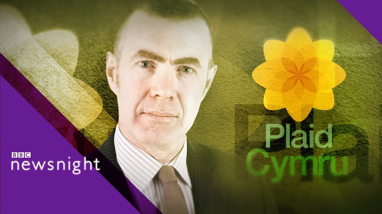 European elections: Plaid Cymru 'riding a Remain wave' - BBC Newsnight
