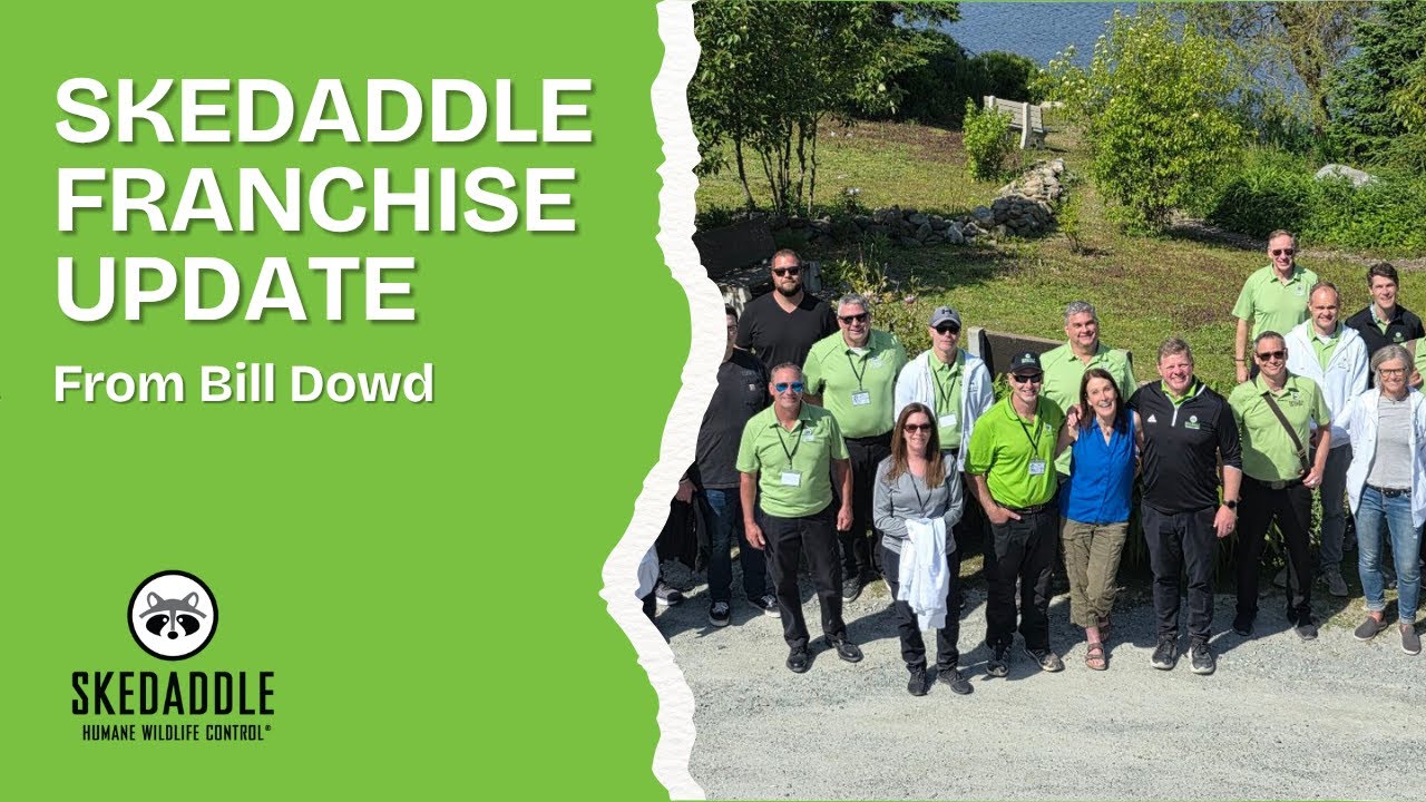 Skedaddle 2025 Mid-Year Franchise Update