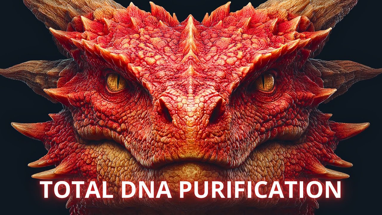 🎵 Draconic Ritual for Full Cellular Purification | Spiritual Music for Chosen Ones
